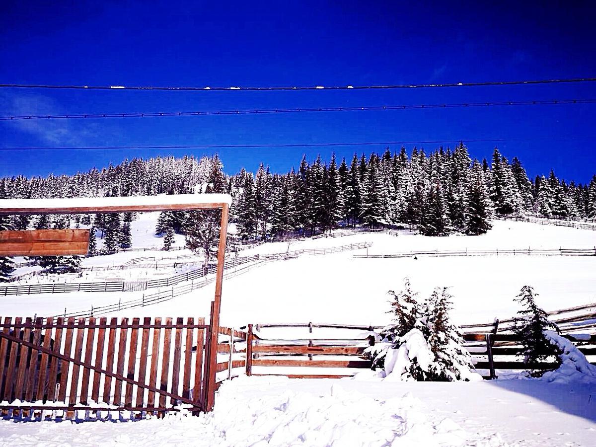 Hostal Nexus Kulcsoshaz Bukkloka Gyimes Fagetel Exterior foto